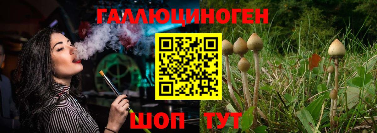 Галлюциногенные грибы Psilocybe  Вход с VPN  Псилоцибиновые грибы MAGIC MUSHROOMS  Коряжма 