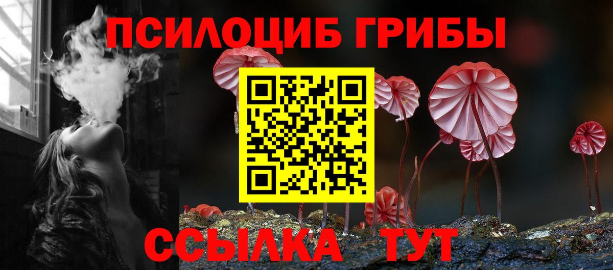 Галлюциногенные грибы GOLDEN TEACHER Коряжма