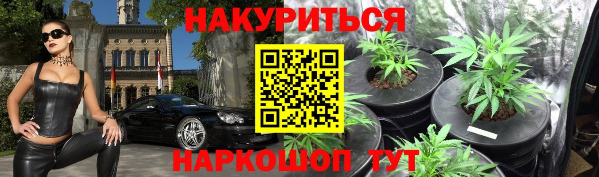 Марихуана планчик  Вход с VPN  Коряжма  МАРИХУАНА THC 21%  Бошки марихуана марихуана 